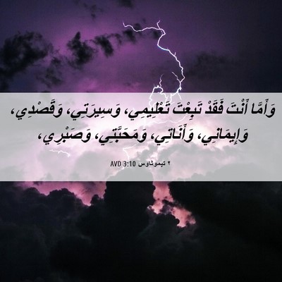 Picture 06 - ٢ تيموثاوس 3:10 AVD - وَأَمَّا أَنْتَ فَقَدْ - Bible Verse Picture