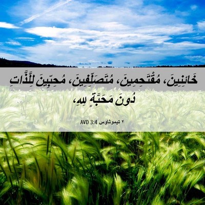 Picture 06 - ٢ تيموثاوس 3:4 AVD - خَائِنِينَ، - Bible Verse Picture