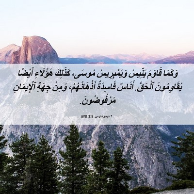 Picture 06 - ٢ تيموثاوس 3:8 AVD - وَكَمَا قَاوَمَ يَنِّيسُ - Bible Verse Picture