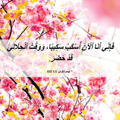 Picture 06 - ٢ تيموثاوس 4:6 AVD - فَإِنِّي أَنَا ٱلْآنَ - Bible Verse Picture