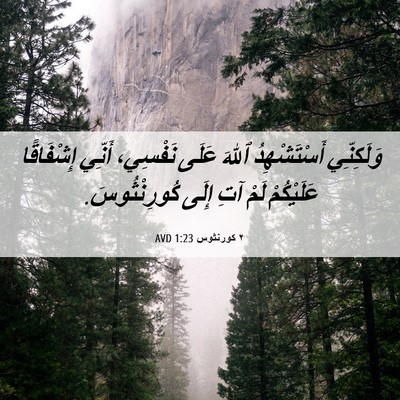 Picture 06 - ٢ كورنثوس 1:23 AVD - وَلَكِنِّي أَسْتَشْهِدُ - Bible Verse Picture