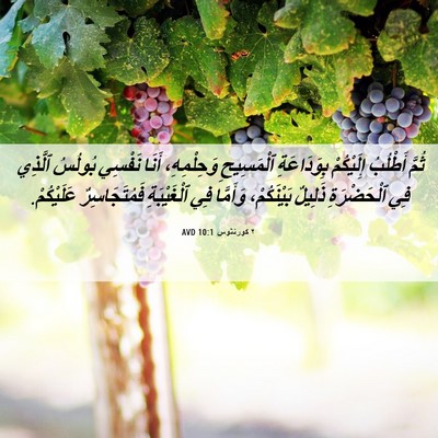 Picture 06 - ٢ كورنثوس 10:1 AVD - ثُمَّ أَطْلُبُ إِلَيْكُمْ - Bible Verse Picture