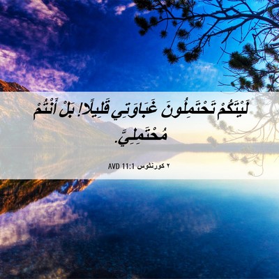 Picture 06 - ٢ كورنثوس 11:1 AVD - لَيْتَكُمْ تَحْتَمِلُونَ - Bible Verse Picture