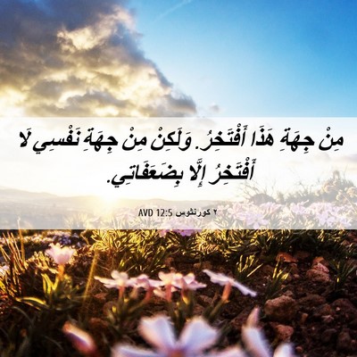 Picture 06 - ٢ كورنثوس 12:5 AVD - مِنْ جِهَةِ هَذَا - Bible Verse Picture
