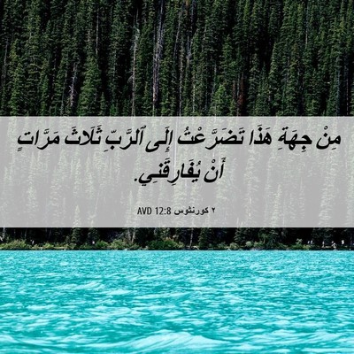 Picture 06 - ٢ كورنثوس 12:8 AVD - مِنْ جِهَةِ هَذَا - Bible Verse Picture