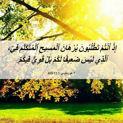 Picture 06 - ٢ كورنثوس 13:3 AVD - إِذْ أَنْتُمْ تَطْلُبُونَ - Bible Verse Picture