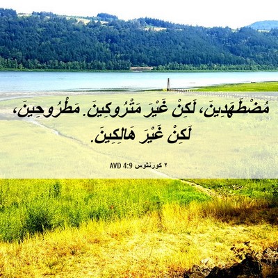 Picture 06 - ٢ كورنثوس 4:9 AVD - مُضْطَهَدِينَ، لَكِنْ - Bible Verse Picture