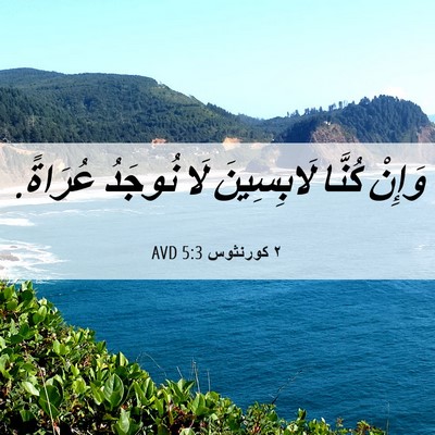 Picture 06 - ٢ كورنثوس 5:3 AVD - وَإِنْ كُنَّا لَابِسِينَ - Bible Verse Picture
