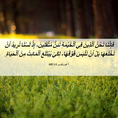 Picture 06 - ٢ كورنثوس 5:4 AVD - فَإِنَّنَا نَحْنُ - Bible Verse Picture
