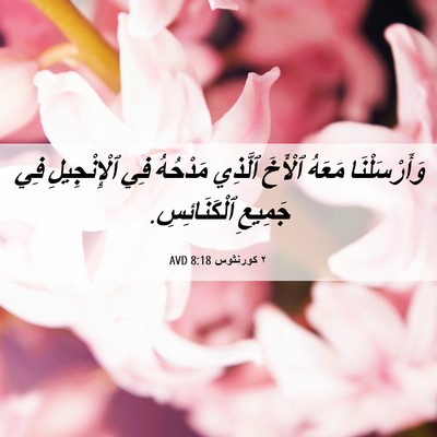Picture 06 - ٢ كورنثوس 8:18 AVD - وَأَرْسَلْنَا مَعَهُ - Bible Verse Picture