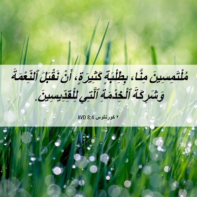 Picture 06 - ٢ كورنثوس 8:4 AVD - مُلْتَمِسِينَ مِنَّا، - Bible Verse Picture
