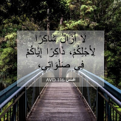 Picture 07 - أفَسُس 1:16 AVD - لَا أَزَالُ شَاكِرًا - Bible Verse Picture