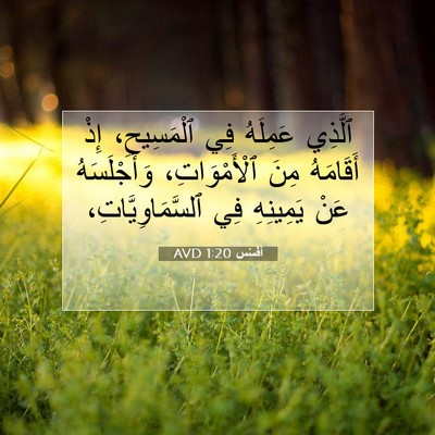 Picture 07 - أفَسُس 1:20 AVD - ٱلَّذِي عَمِلَهُ فِي - Bible Verse Picture
