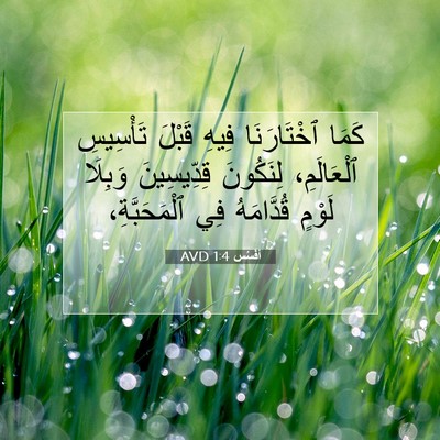 Picture 07 - أفَسُس 1:4 AVD - كَمَا ٱخْتَارَنَا فِيهِ - Bible Verse Picture