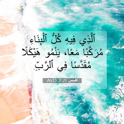 Picture 07 - أفَسُس 2:21 AVD - ٱلَّذِي فِيهِ كُلُّ - Bible Verse Picture