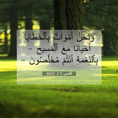 Picture 07 - أفَسُس 2:5 AVD - وَنَحْنُ أَمْوَاتٌ - Bible Verse Picture