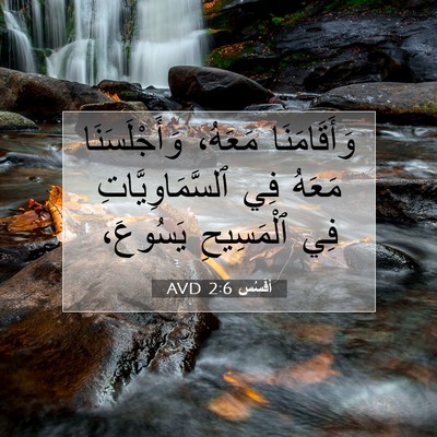 Picture 07 - أفَسُس 2:6 AVD - وَأَقَامَنَا مَعَهُ، - Bible Verse Picture