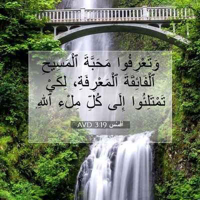 Picture 07 - أفَسُس 3:19 AVD - وَتَعْرِفُوا مَحَبَّةَ - Bible Verse Picture