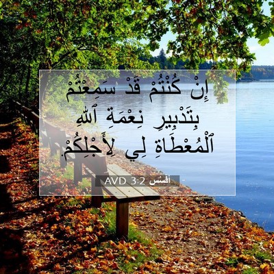 Picture 07 - أفَسُس 3:2 AVD - إِنْ كُنْتُمْ قَدْ - Bible Verse Picture