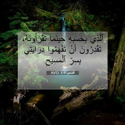 Picture 07 - أفَسُس 3:4 AVD - ٱلَّذِي بِحَسَبِهِ - Bible Verse Picture