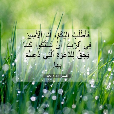 Picture 07 - أفَسُس 4:1 AVD - فَأَطْلُبُ إِلَيْكُمْ، - Bible Verse Picture
