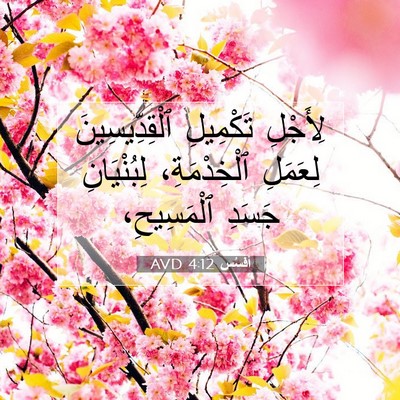Picture 07 - أفَسُس 4:12 AVD - لِأَجْلِ تَكْمِيلِ - Bible Verse Picture