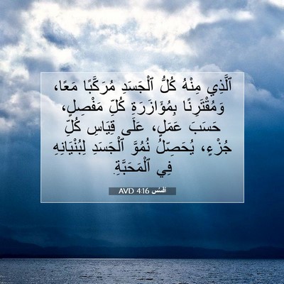 Picture 07 - أفَسُس 4:16 AVD - ٱلَّذِي مِنْهُ كُلُّ - Bible Verse Picture