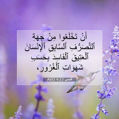 Picture 07 - أفَسُس 4:22 AVD - أَنْ تَخْلَعُوا مِنْ - Bible Verse Picture