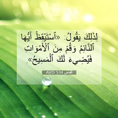 Picture 07 - أفَسُس 5:14 AVD - لِذَلِكَ يَقُولُ: - Bible Verse Picture