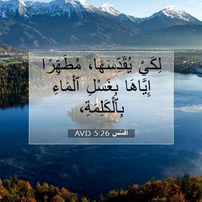 Picture 07 - أفَسُس 5:26 AVD - لِكَيْ يُقَدِّسَهَا، - Bible Verse Picture