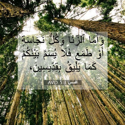 Picture 07 - أفَسُس 5:3 AVD - وَأَمَّا ٱلزِّنَا وَكُلُّ - Bible Verse Picture