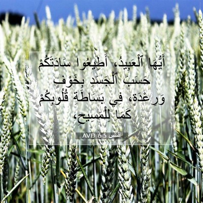 Picture 07 - أفَسُس 6:5 AVD - أَيُّهَا ٱلْعَبِيدُ، - Bible Verse Picture
