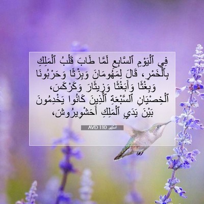 Picture 07 - أَسْتِير 1:10 AVD - فِي ٱلْيَوْمِ ٱلسَّابِعِ - Bible Verse Picture