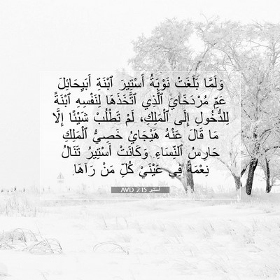 Picture 07 - أَسْتِير 2:15 AVD - وَلَمَّا بَلَغَتْ - Bible Verse Picture