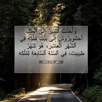 Picture 07 - أَسْتِير 2:16 AVD - وَأُخِذَتْ أَسْتِيرُ - Bible Verse Picture