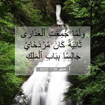 Picture 07 - أَسْتِير 2:19 AVD - وَلَمَّا جُمِعَتِ - Bible Verse Picture