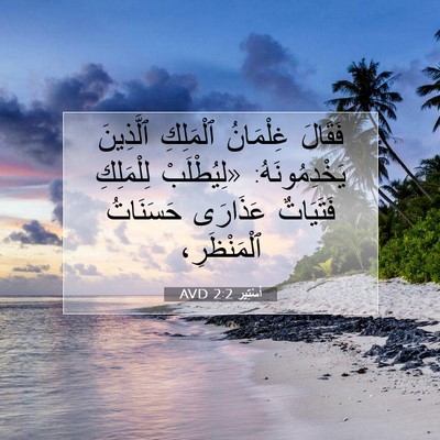 Picture 07 - أَسْتِير 2:2 AVD - فَقَالَ غِلْمَانُ - Bible Verse Picture