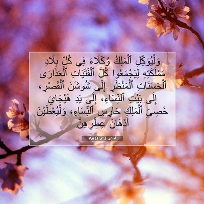 Picture 07 - أَسْتِير 2:3 AVD - وَلْيُوَكِّلِ ٱلْمَلِكُ - Bible Verse Picture