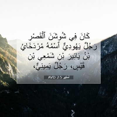 Picture 07 - أَسْتِير 2:5 AVD - كَانَ فِي شُوشَنَ - Bible Verse Picture