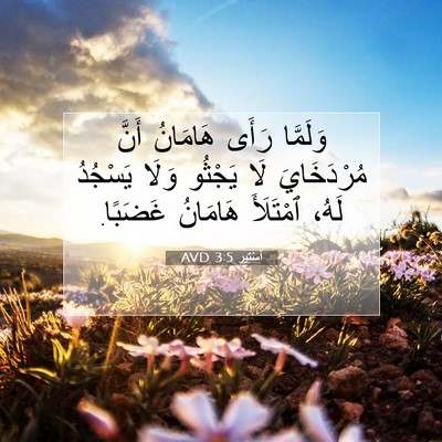 Picture 07 - أَسْتِير 3:5 AVD - وَلَمَّا رَأَى هَامَانُ - Bible Verse Picture