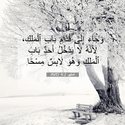 Picture 07 - أَسْتِير 4:2 AVD - وَجَاءَ إِلَى قُدَّامِ - Bible Verse Picture