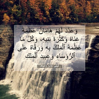 Picture 07 - أَسْتِير 5:11 AVD - وَعَدَّدَ لَهُمْ هَامَانُ - Bible Verse Picture