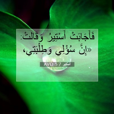 Picture 07 - أَسْتِير 5:7 AVD - فَأَجَابَتْ أَسْتِيرُ - Bible Verse Picture