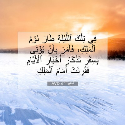 Picture 07 - أَسْتِير 6:1 AVD - فِي تِلْكَ ٱللَّيْلَةِ - Bible Verse Picture