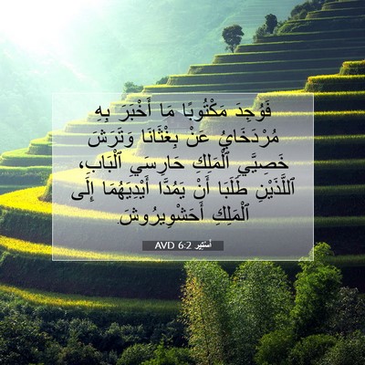 Picture 07 - أَسْتِير 6:2 AVD - فَوُجِدَ مَكْتُوبًا مَا - Bible Verse Picture