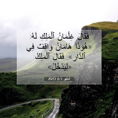 Picture 07 - أَسْتِير 6:5 AVD - فَقَالَ غِلْمَانُ - Bible Verse Picture