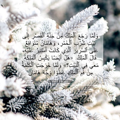 Picture 07 - أَسْتِير 7:8 AVD - وَلَمَّا رَجَعَ ٱلْمَلِكُ - Bible Verse Picture