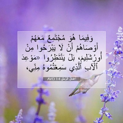 Picture 07 - أَعْمَالُ ٱلرُّسُلِ 1:4 AVD - وَفِيمَا هُوَ مُجْتَمِعٌ - Bible Verse Picture