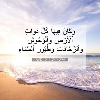 Picture 07 - أَعْمَالُ ٱلرُّسُلِ 10:12 AVD - وَكَانَ فِيهَا كُلُّ - Bible Verse Picture