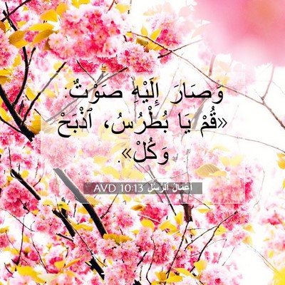 Picture 07 - أَعْمَالُ ٱلرُّسُلِ 10:13 AVD - وَصَارَ إِلَيْهِ صَوْتٌ: - Bible Verse Picture
